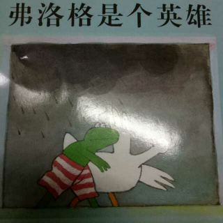 《沸洛格是个英雄》