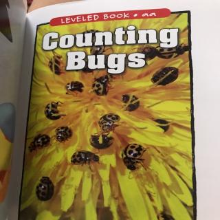 Counting Bugs