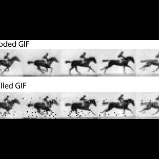 DNA变身活体优盘存电影