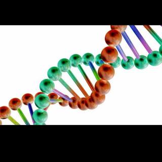 Film is written into DNA