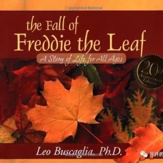 【Julia美语】双语版-一片叶子落下来 The fall of Freddie the leaf