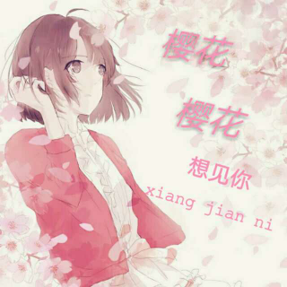 樱花樱花想见你『中文版』