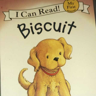 My first reading books~Biscuit