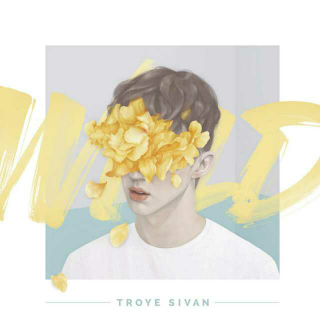 Troye Sivan - FOOLS