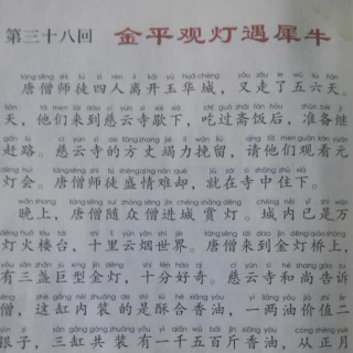 西游记  第三十八回  金平观灯遇犀牛