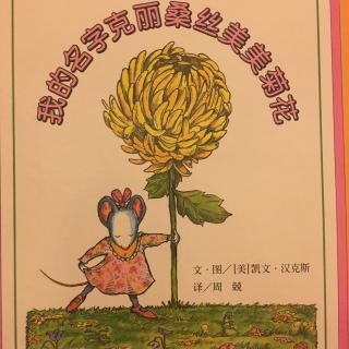 我的名字克丽桑丝美美菊花