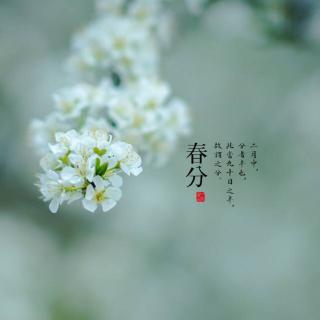 二十四节气——春种细语4 春分