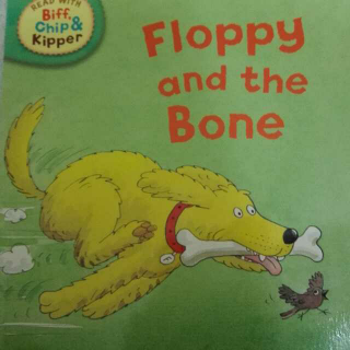 FIoppy and the Bone