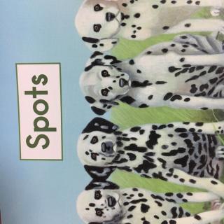 Spots