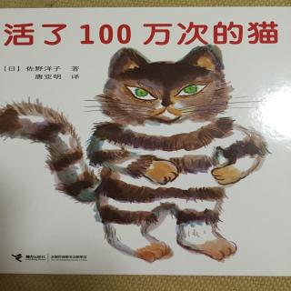 活了100万次的猫