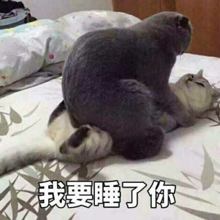 追光者  Vk