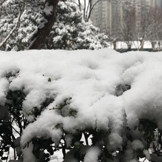 雪～一枕秋风