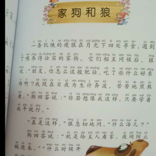 狼和家狗