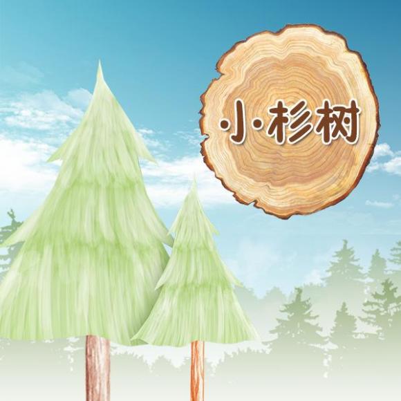 0721小杉树