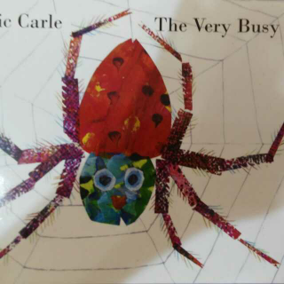The very busy spider!