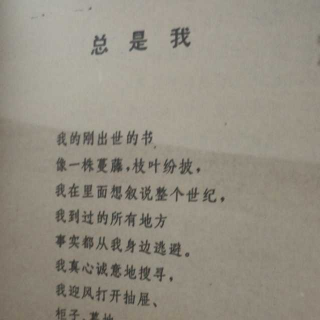 总是我