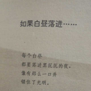 如果白昼落进……