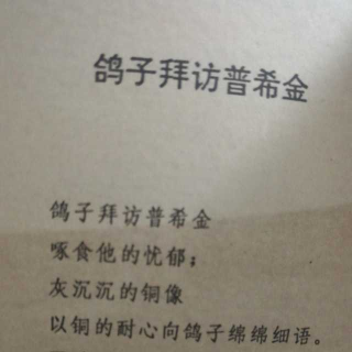 鸽子拜访普希金