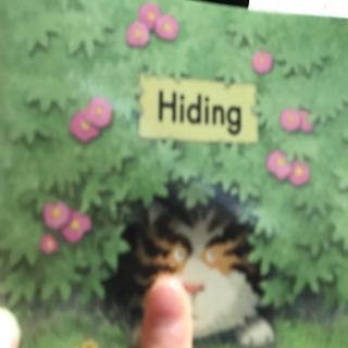 Hiding