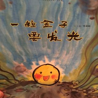 中文绘本《一粒金子要发光》