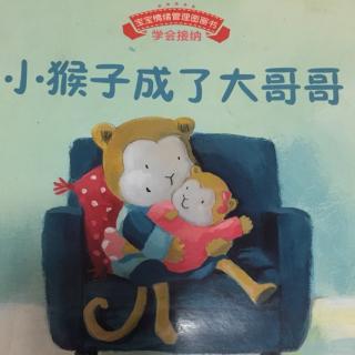 小猴子成了大哥哥