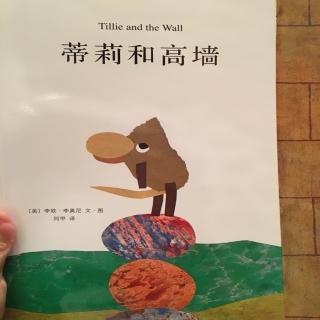 中文绘本《蒂莉和高墙》李欧·李奥尼