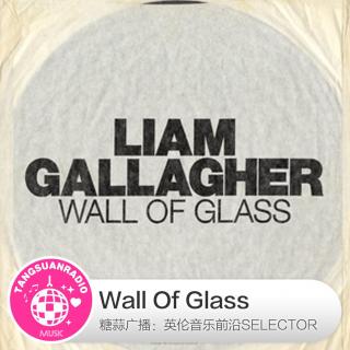  糖蒜爱音乐之The Selector：Wall Of Glass 