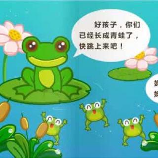 二年级上册课文，第一课《小蝌蚪找妈妈》