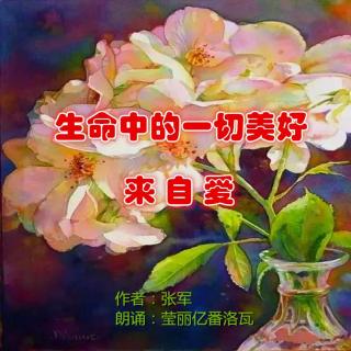 《生命中的一切美好 来自爱》作者：张军 朗诵：莹丽亿番洛瓦