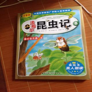 法布尔昆虫记8夏日音乐家蝉我有400个兄弟姐妹