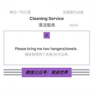 【旅行英语】清洁服务·D314：Please bring me two hangers/towels.