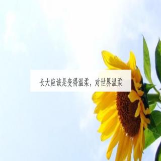 晚安 || 愿不忘过去，不畏将来