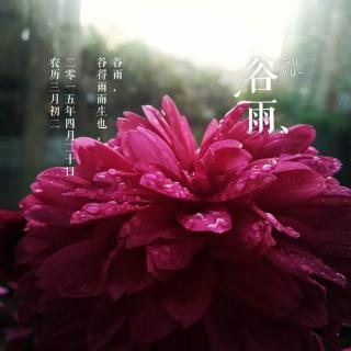 二十四节气——春种细语6 谷雨