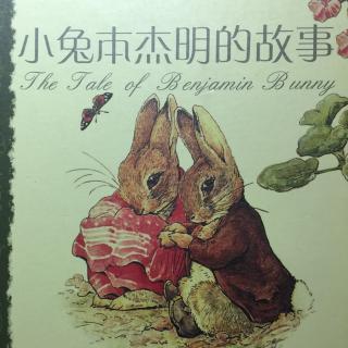 小兔本杰明的故事