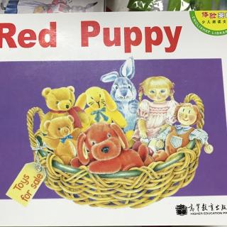 《red puppy》20170717