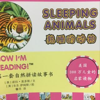 sleeping animals