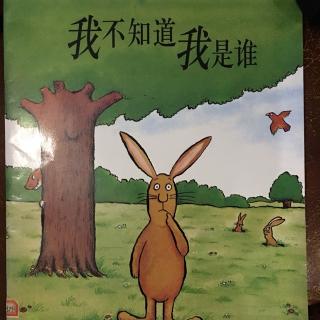 🐰我不知道我是谁🐰