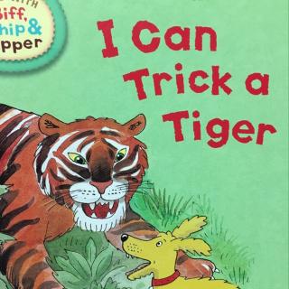 I Can Trick A Tiger