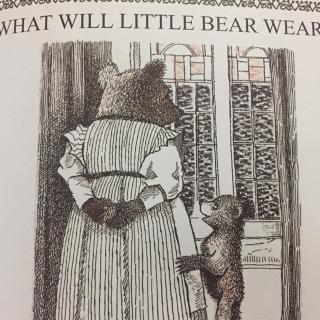 What Wil Little Bear Wear?