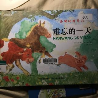 小猪比格系列难忘的一天