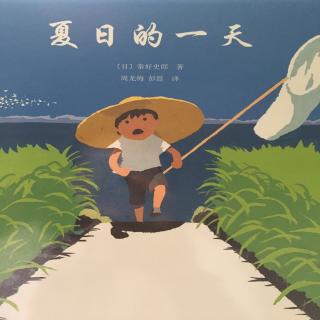 第二十四期 夏日的一天