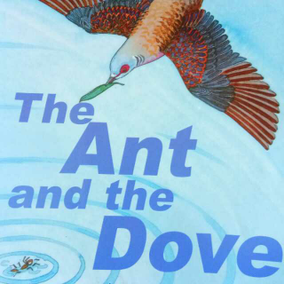 The Ant and the Dove