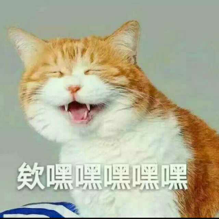 一起来治口胡啊哈哈哈