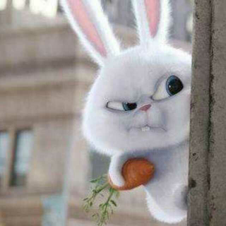 爱生气的小兔子