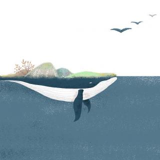 《化身孤岛的鲸》：你是那只孤独的鲸吗？  