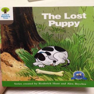 The lost puppy 2-8
