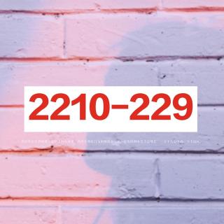 2210-229