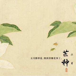 二十四节气——夏长欢歌3 芒种