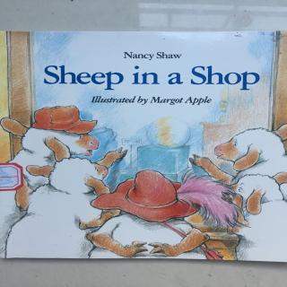 Dream加油站 奥奥 《sheep in a shop》