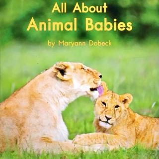 G1 book88 All about animal babies